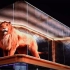 【裸眼3D】全球通缉这只从成都太古里逃跑的狮子！