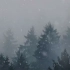 雪景动画