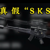 全自动“SKS”？（2）