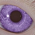 Purple Eyes  | Forced Subliminal