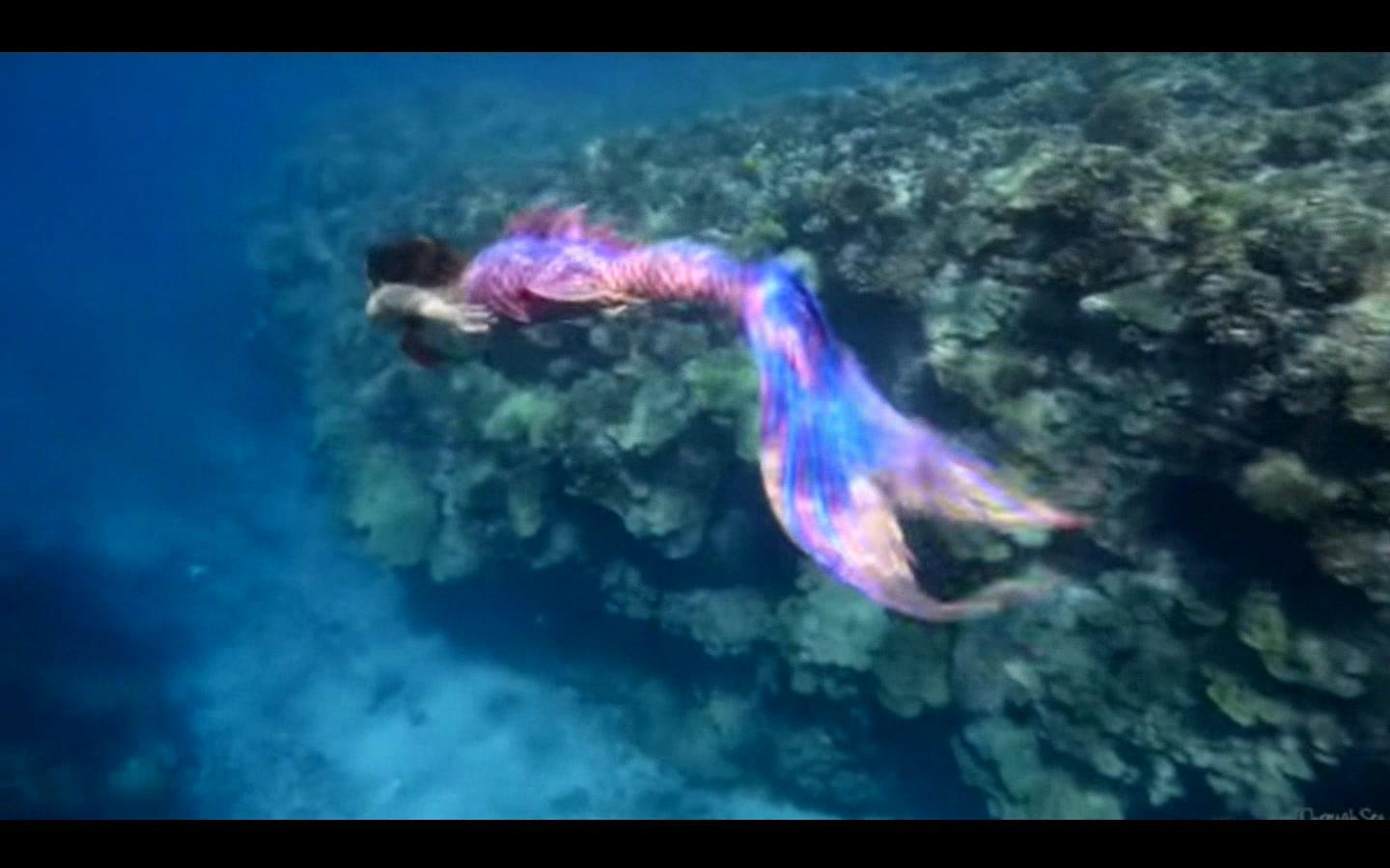 《人鱼秘境》 |摄影|人像|水下攝影師Dabing - 原创作品 - 站酷 (ZCOOL)