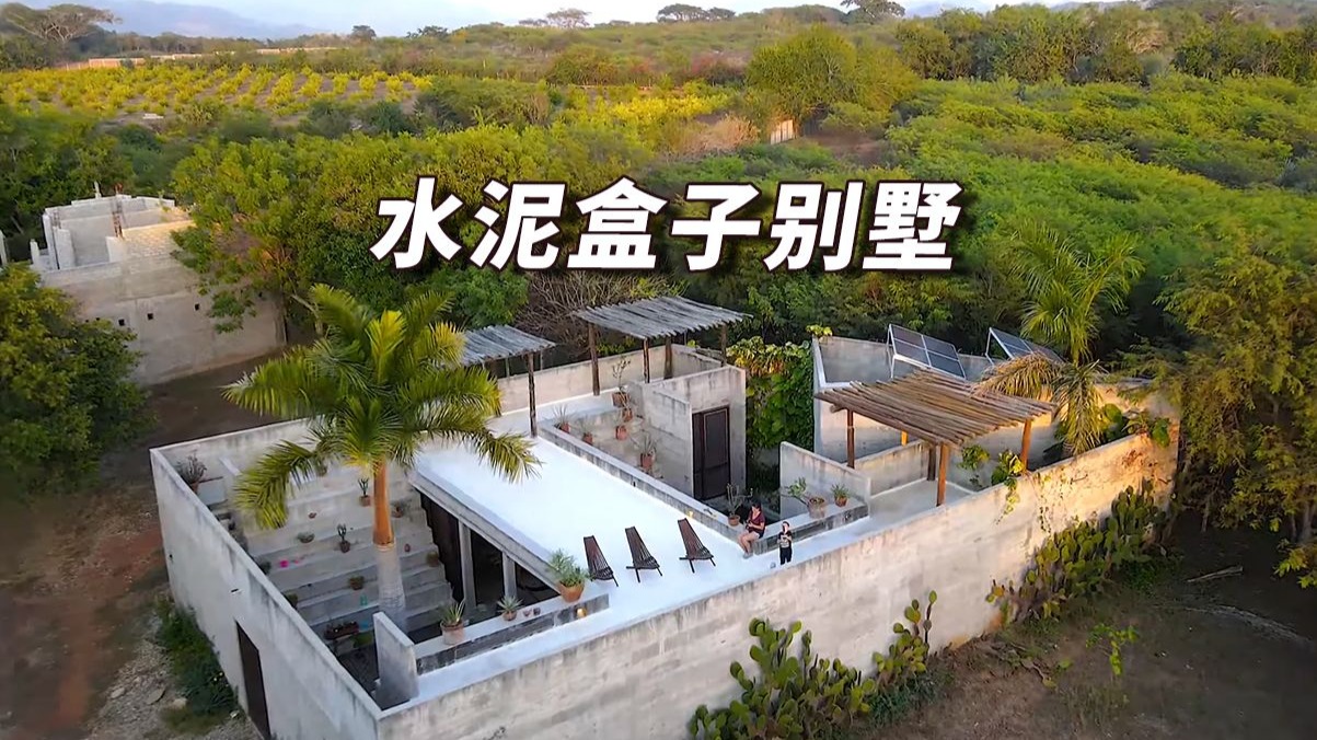 水泥盒子别墅，被绿色植物环绕的cenote型游泳池提供了一个完美的空间，可以在完全私密的环境中放松身心，建筑与自然融为一体