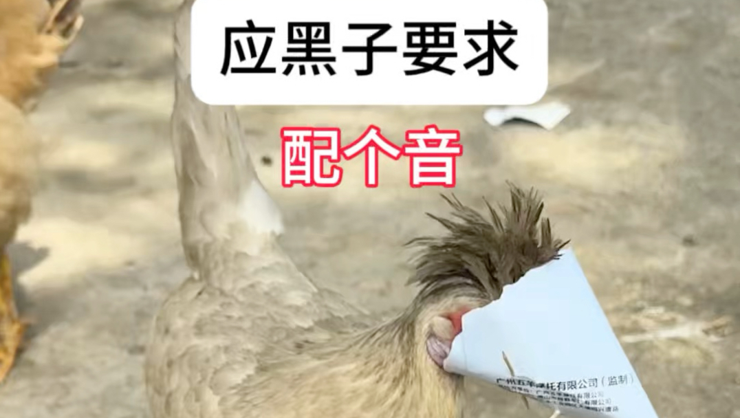 应黑子要求配个音