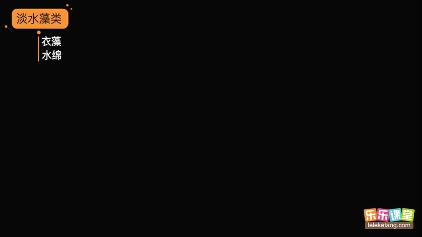 29藻类、苔藓和蕨类植物