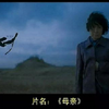 奉俊昊 母亲 爱与暴力