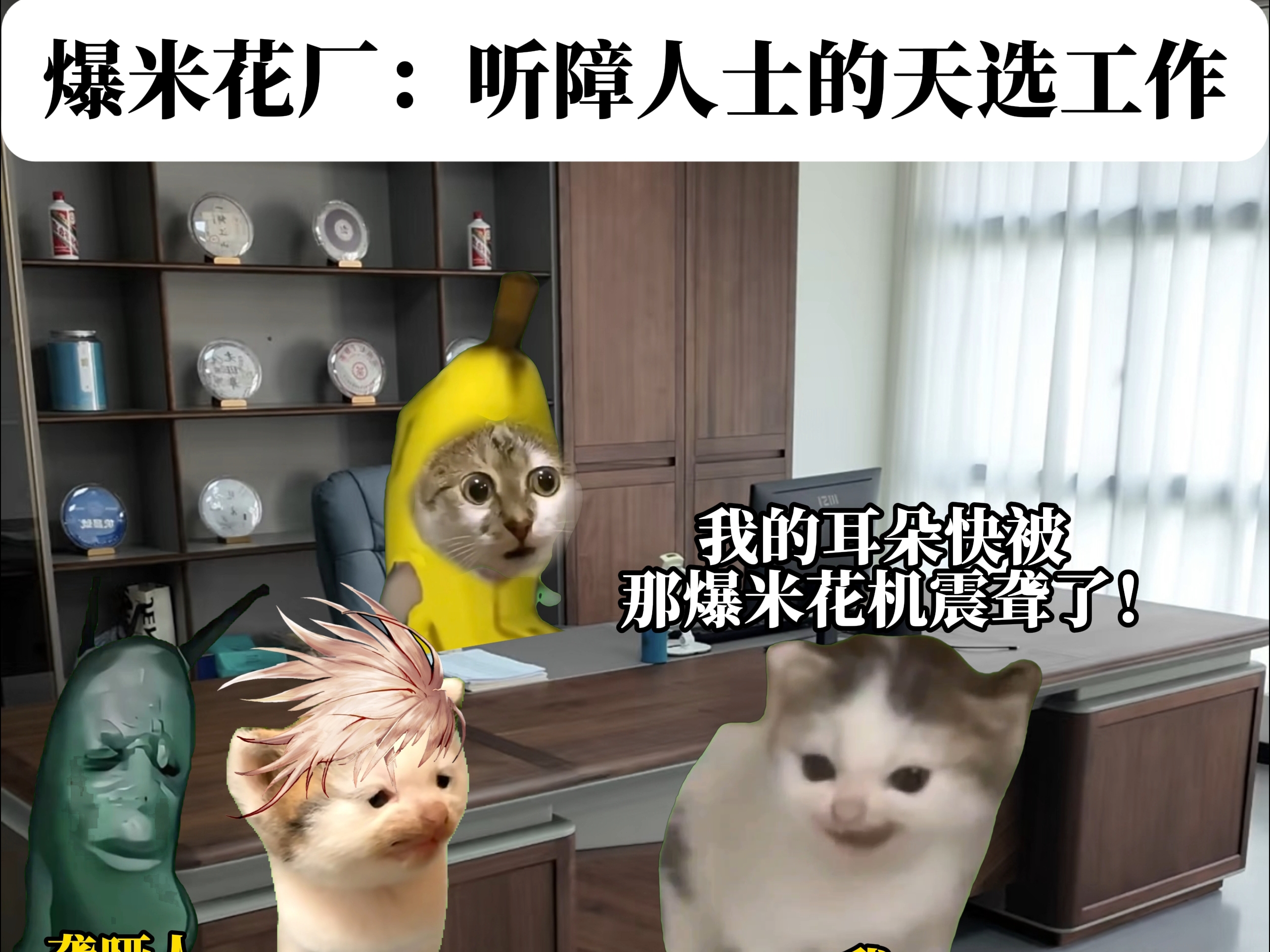 爆米花厂:听障人士的天选工作 #猫meme
