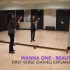 Wanna One - Beautiful舞蹈分解教学