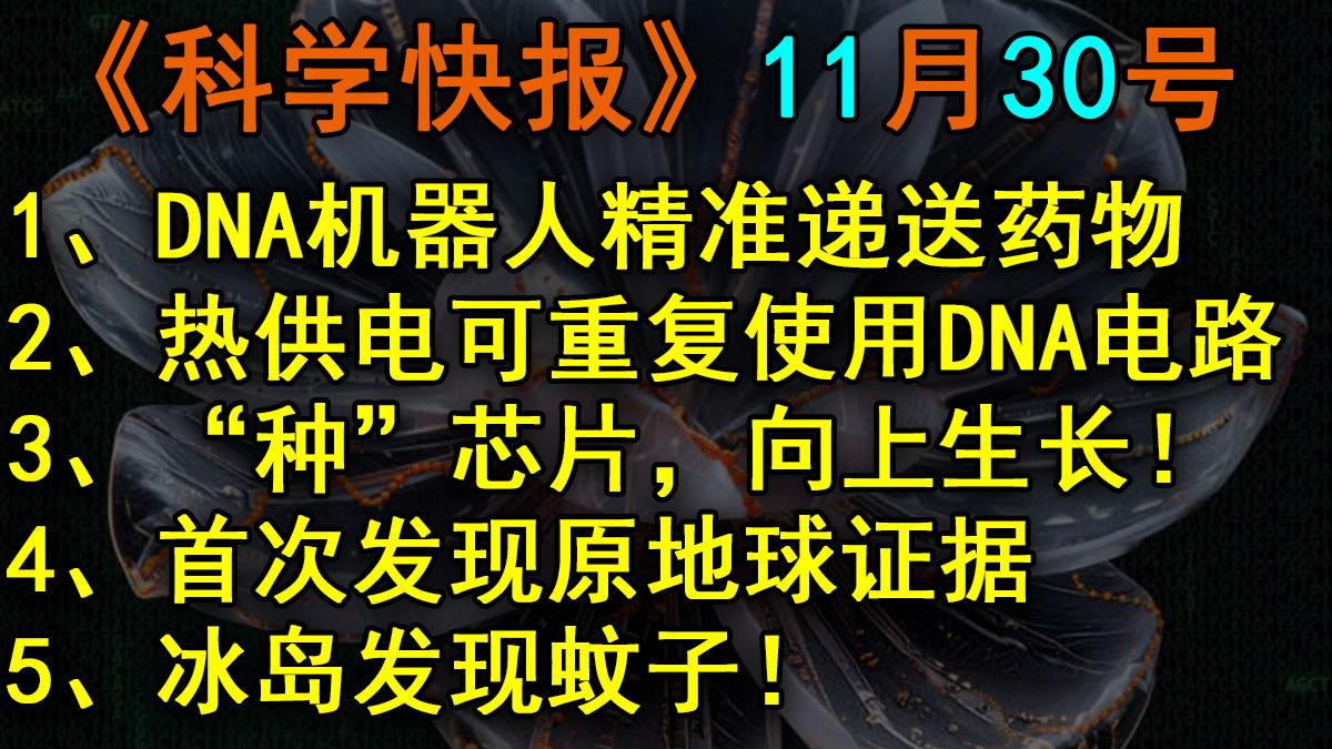 体内巡航！DNA智能花朵如何精准杀死癌细胞？【科学快报】第242期