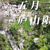 一周前我说会限流，果然限流了