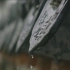 日常的镜头 | 江南雨季，慢节奏纪录上海古镇的点滴日常