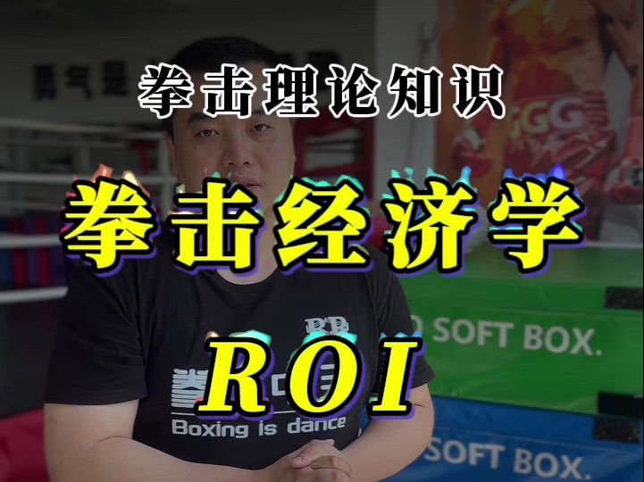 拳击里的 ROI “拳击基础知识”