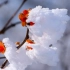 【超清日本4K】長野県・北信濃 冬季讃歌【自然风景】