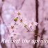 用单反记录春天 vlog 两分钟短片（sony a6000拍摄，pr剪辑）学生第一次用pr剪视频 。油菜花，樱花，阳光与