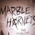 【Marble Hornets合集】大理石黄蜂 #1-#87全套 + 完整Totheark（英文字幕）