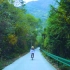 温柔所向，遍地阳光，骑上单车， 一同去欣赏森林的美景。