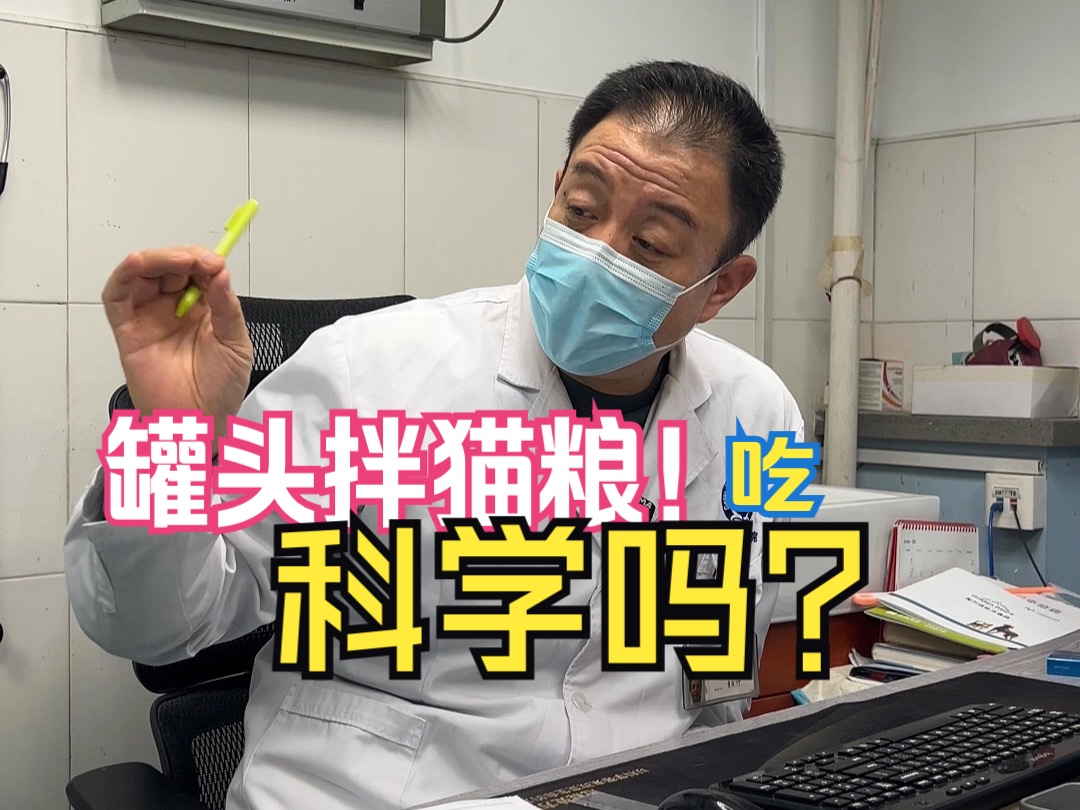 罐头拌猫粮吃科学吗？