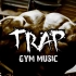 【音乐/Trap】健身/运动适用 - 精神氮泵之Trap不停音乐合集