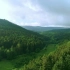 空镜头视频素材 航拍森林树林航拍山 素材分享