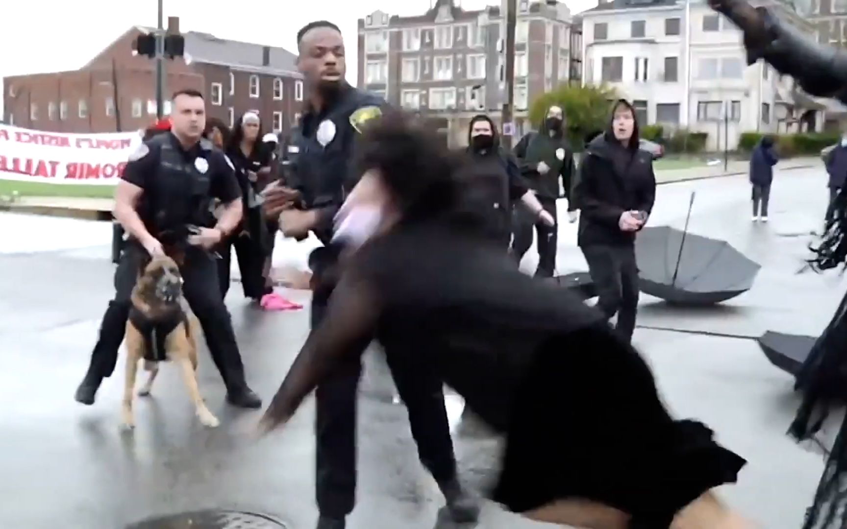 美国“黑人的命也是命”抗议现场混乱：黑人警察一拳打倒女抗议者