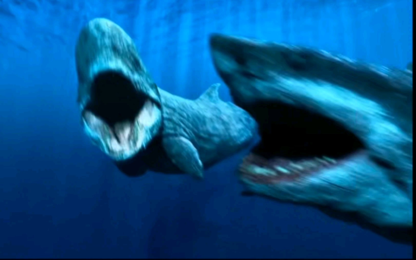 【深海恐惧症勿进】利维坦鲸与巨齿鲨的xue腥杀戮时刻
