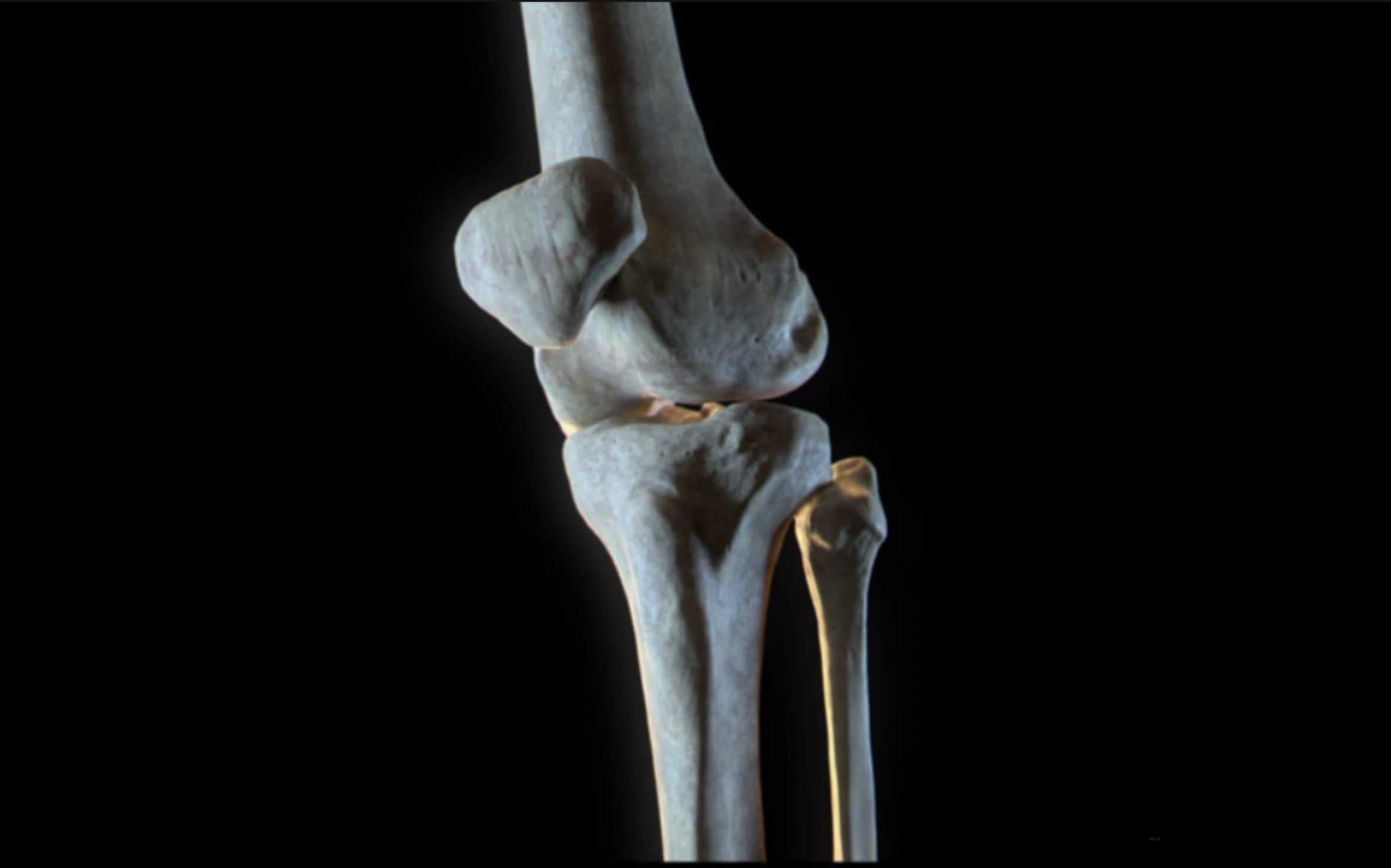 艺术生这期错过真的会哭！膝盖不同的弯曲程度形体详解！