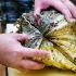 巨型海蚌，开蚌很费劲，吃法却十分大胆！