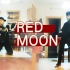 【KARD】Red Moon红月 翻跳【狮子酱】在家憋不住要跳舞的速翻