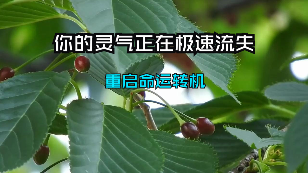 你的灵气正在极速流失，这三大方法，助你逆转颓势、稳固元神，重启命运转机！