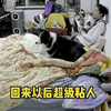 我怀疑刁民每次回家的时候，门都是锁着的，他以为我们不要它了