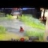《激战 2》阿苏拉-盗贼 【PVP】@Gamescom 2011