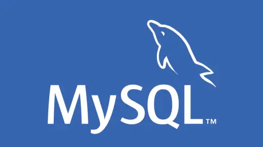 学完java和mysql之后能做项目吗