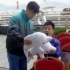 【樊振东】(已更新獒龙胖完整采访)保护白海豚小胖的采访cut(阿婆已昏厥