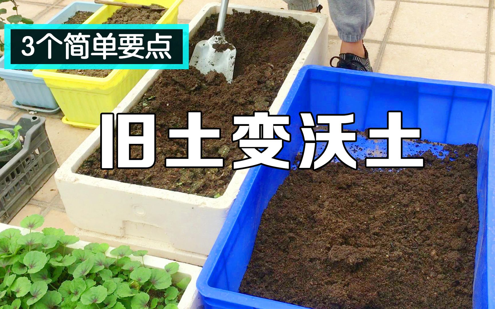种菜的旧土得过病害怎么处理？简单3步处理一下，比新的土还好用