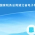 湖北省电子税务局高频业务操作视频