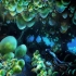 深海迷航全生物蛋信息及位置