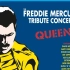 【中英字幕】群星纪念皇后乐队牙叔Freddie Mercury 演唱会 （92年） The Freddie Mercur