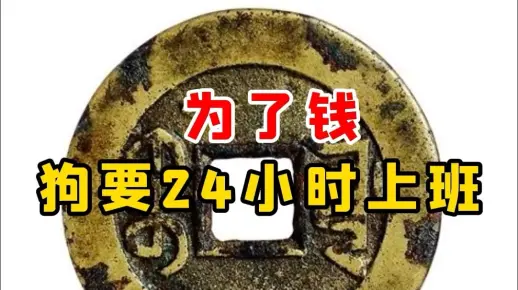 为了钱狗要24小时上班【微拍堂】