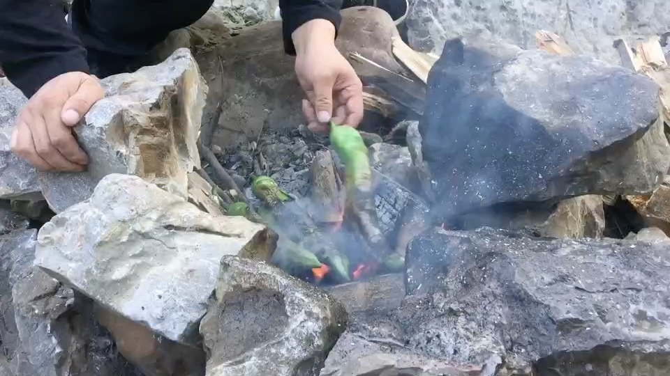 不得不看的野外生存纪录片