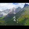 《生命·成长》第二季 | 看见生命、看见成长，看见更广阔的天地