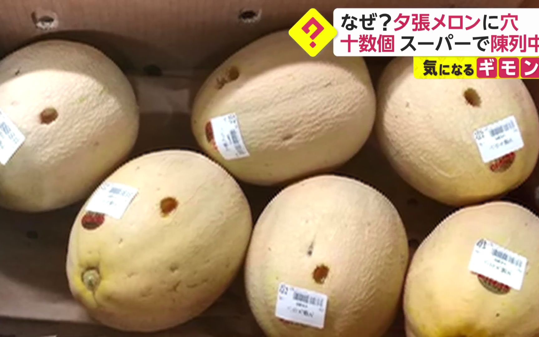 该如何说：北海道超市内数十个夕张蜜瓜出现不明孔洞，损失额高达一万余日元(中日双语)(20/11/20)[1次更新]的第1张示图