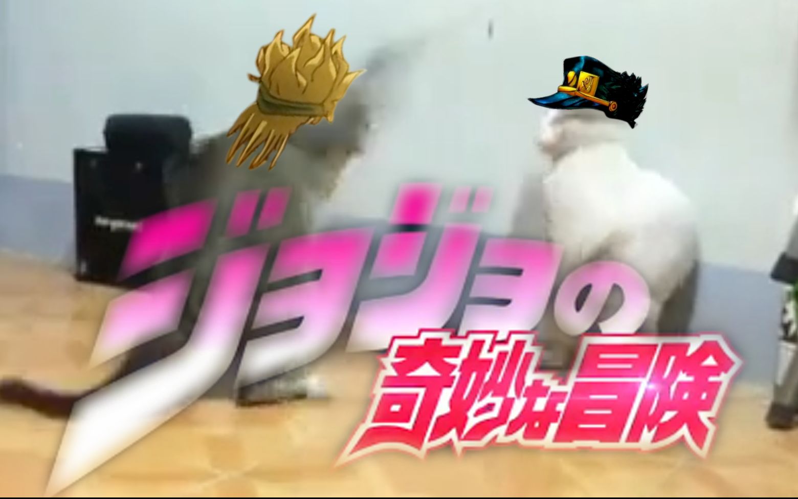 【jojo的奇妙猫险】猫dio vs 猫太郎!