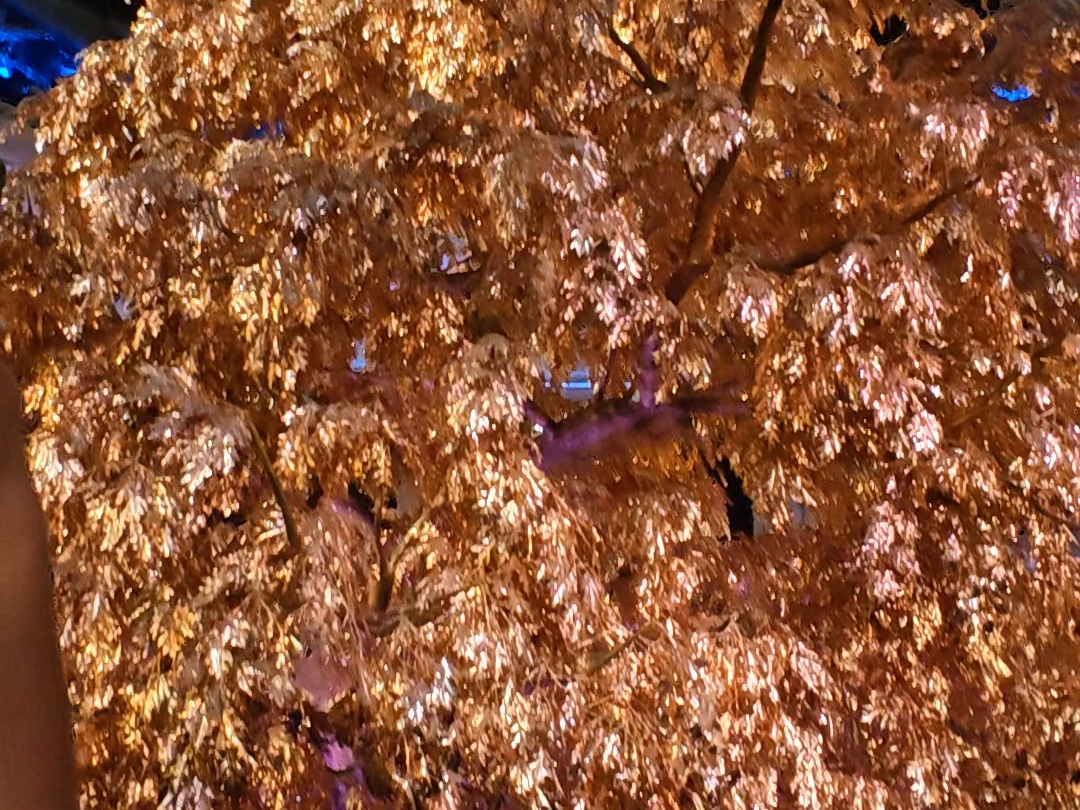 澳門永利發財樹