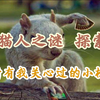 熊猫人之谜 探索 - 成就 - 致所有我关心过的小松鼠