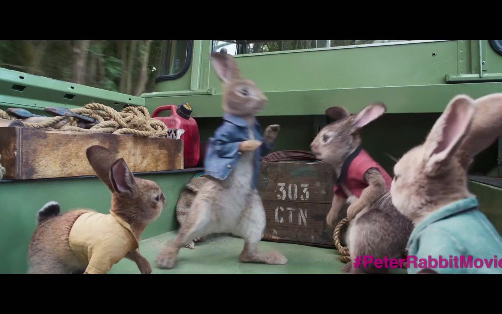 美国索尼哥伦比亚电影出品长篇3d真人动作动画电影《彼得兔》