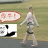 日本制造步行机器人，无任何动力，还能辅助人行走