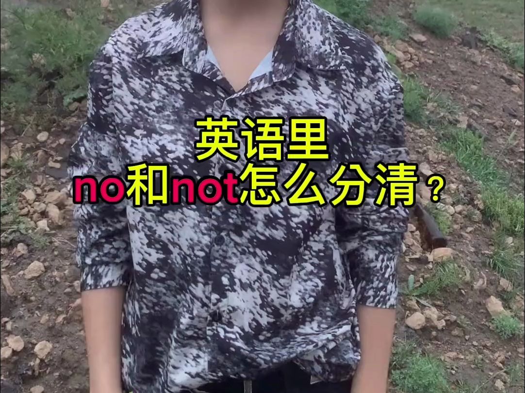 英语里no和not怎么分清？