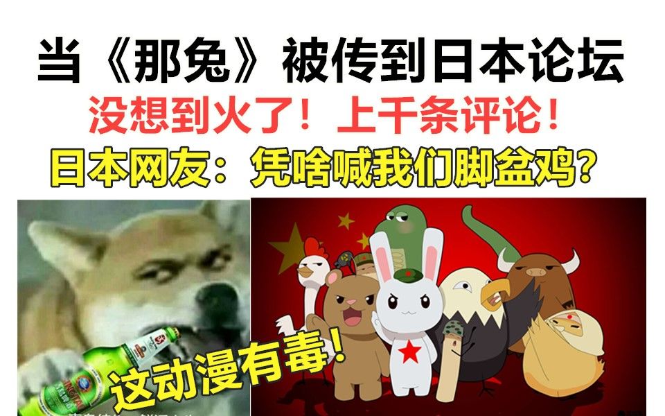 当《那兔》被传到日本论坛，火了！日本网友热议：凭啥叫我们脚盆鸡？