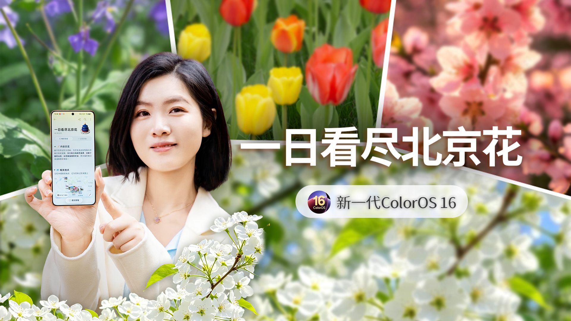 带 OPPO 新机一日看尽北京花，就这么简单！