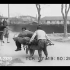 民国视频，从黄浦江到上海