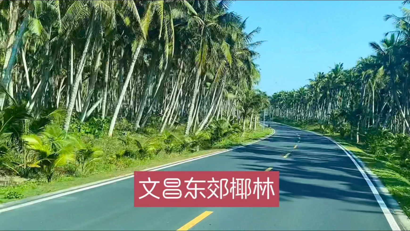 自驾海南环岛旅游公路，文昌东郊椰林段全长18公里，美翻了